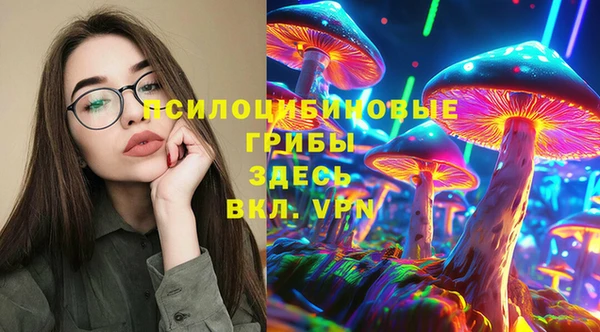 тгк Богданович